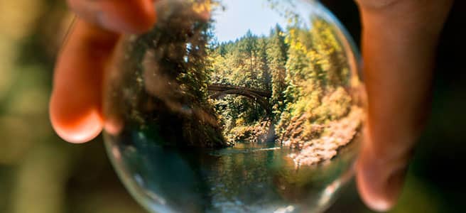 nature bridge through a glass sphere